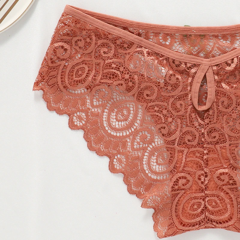 Meet'r Women Sexy Lace Panties Low-Rise Temptation Lingerie Female G String Transparent Underwear Hollow Out Briefs Intimates - Image 5